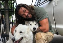 17+ Times Jason Momoa Proved He’s The Coolest Gentle Giant Ever
